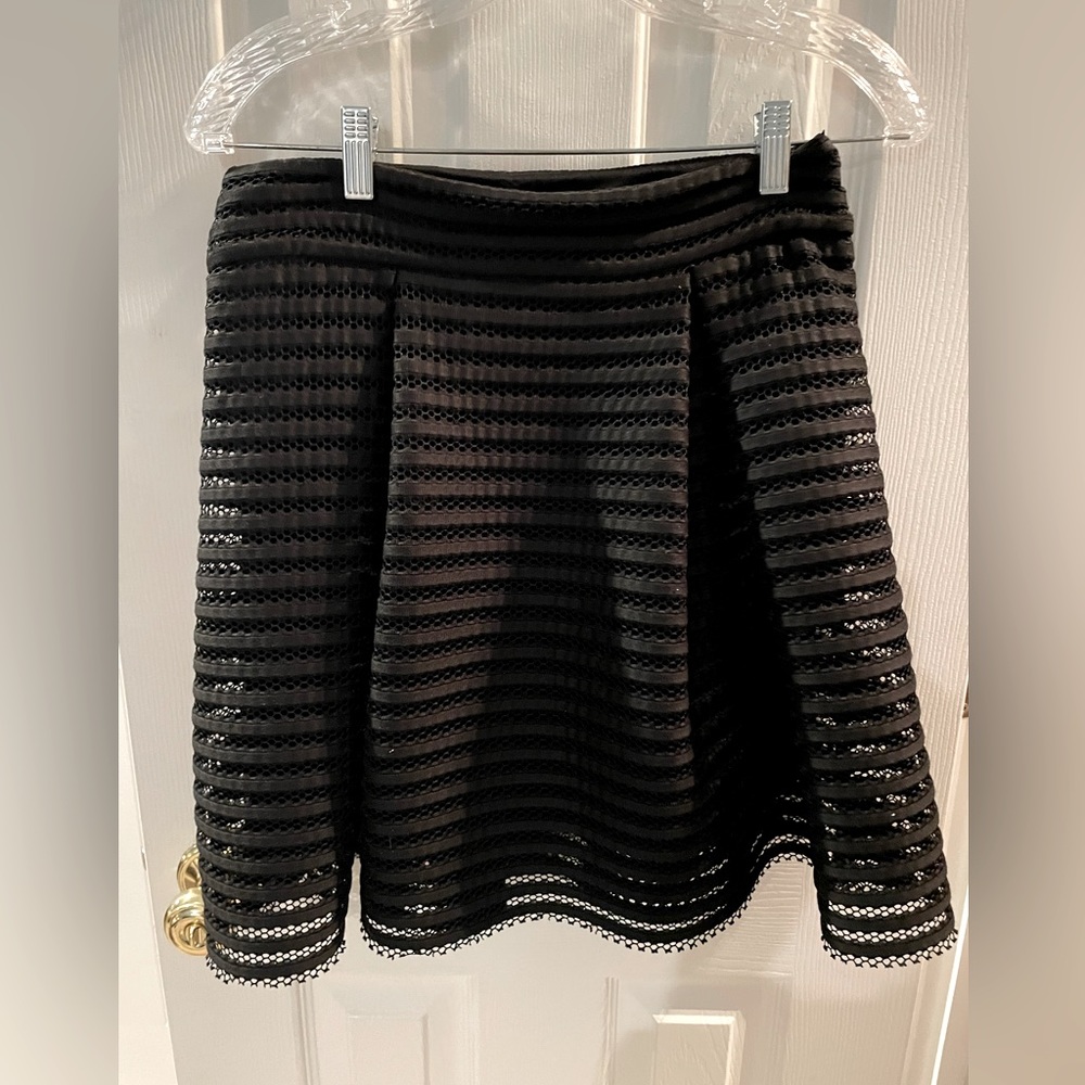 Express skirt